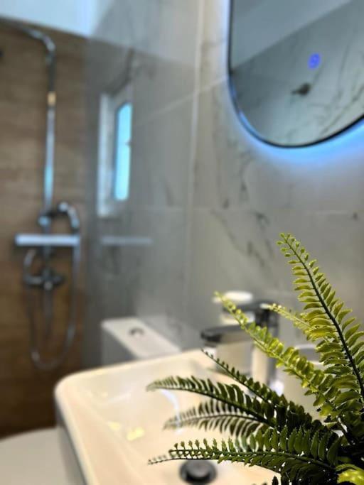 Exquisite Penthouse With Breathtaking Acropolis Panorama View Leilighet Athen Eksteriør bilde